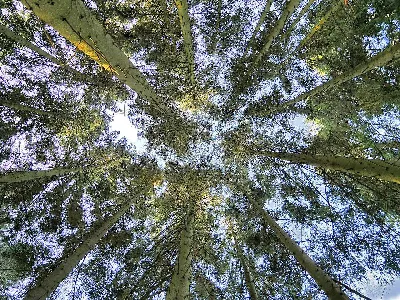 thérapie transgénérationnelle - méthode M.I.A. (Mémoire innée et acquise) 1.webp